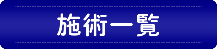施術一覧